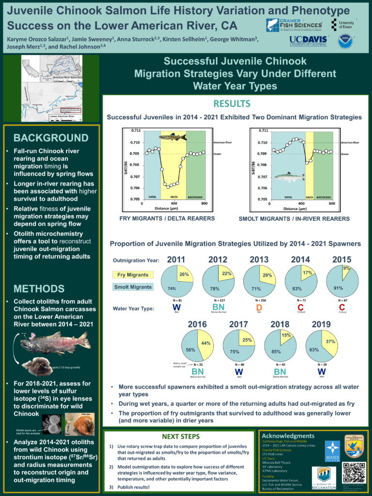 Juvenile Chinook Salmon Life History Variation and Phenotype Success on the Lower American River, CA