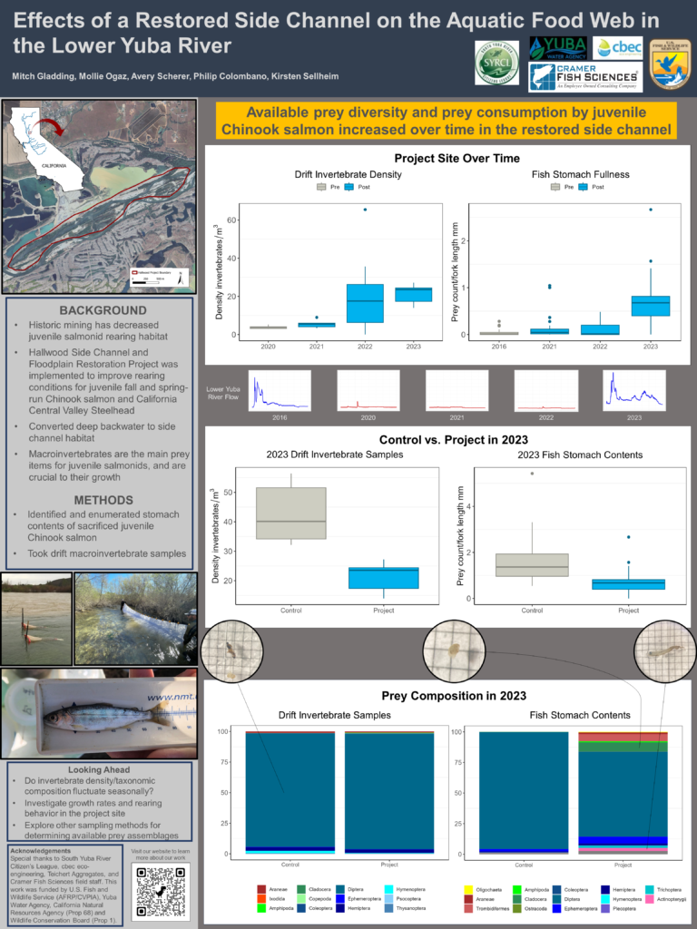 Effects of a Restored Side Channel on the Aquatic Food Web in the Lower Yuba River